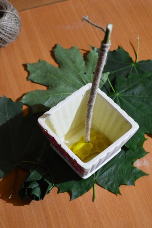 ствол для топиария из кленовых листьев