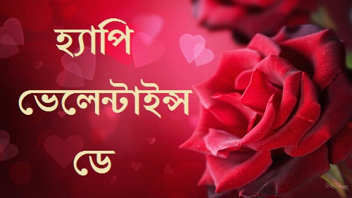 valentines day bangla sms image