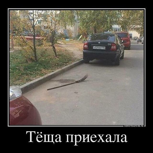 С любовью к теще С любовью к теще