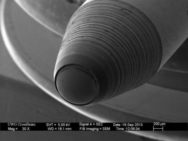 Интересные вещи под микроскопом (18 фото)