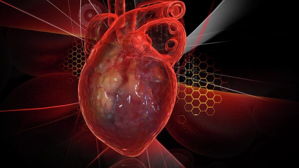 Человеческое сердце с ЭКГ