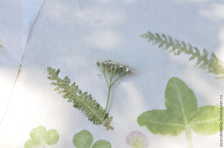 Как сделать отпечатки растений на ткани, фото № 10