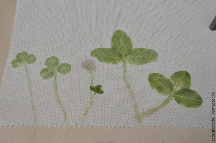Как сделать отпечатки растений на ткани, фото № 9