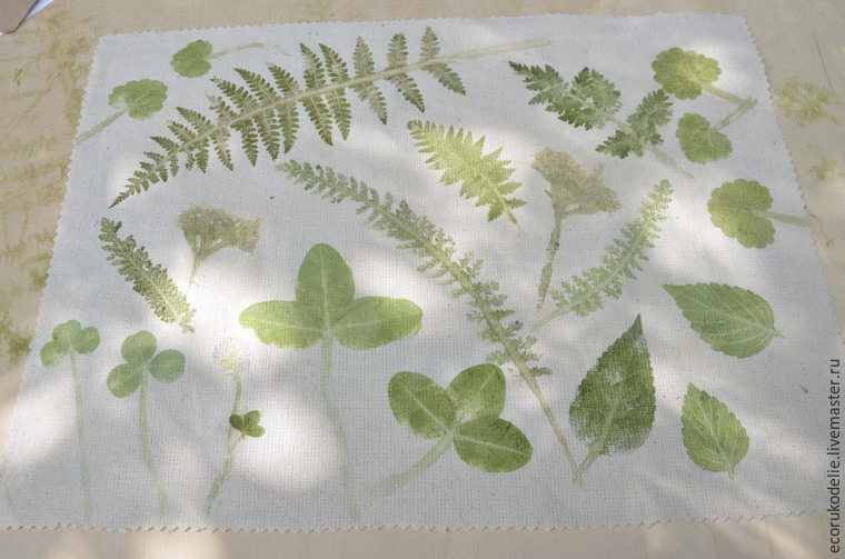 Как сделать отпечатки растений на ткани, фото № 13