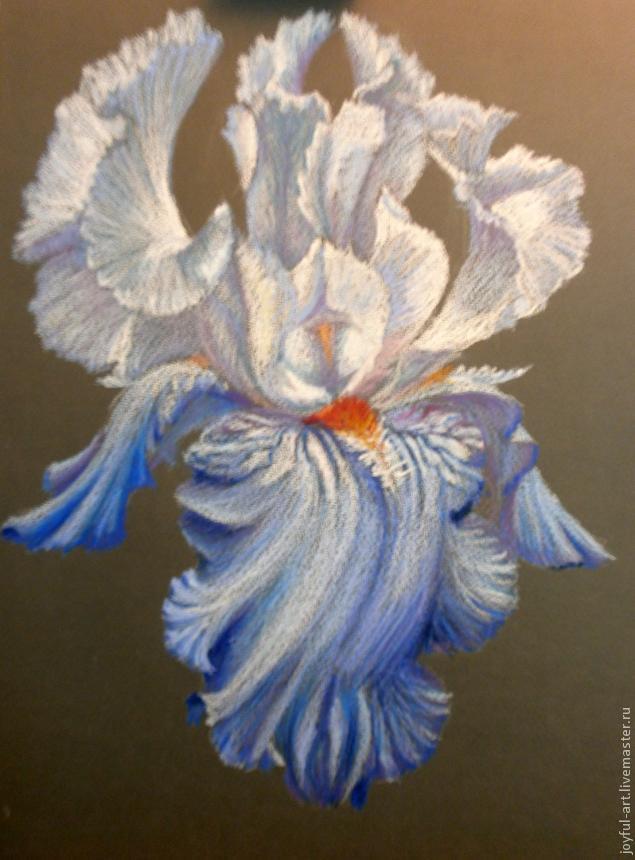 Рисуем голубой ирис масляной пастелью, фото № 8