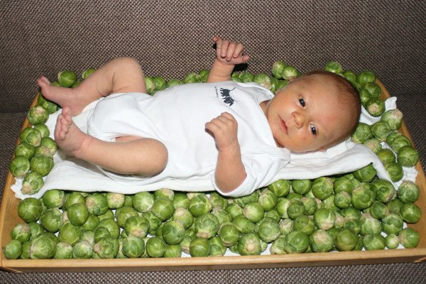 Младенец лежит в ящике с брюссельской капустой