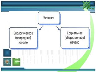 Как вы понимаете выражение «человек — биологическое и социальное существо»?