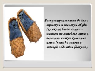 Распространенными видами мужской и женской обуви (кимкит) были лапти - нинко