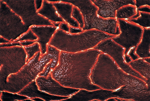 Рис. 2. Молекула спидроина и модель ее укладки в волокне. Изображение: «Квант»