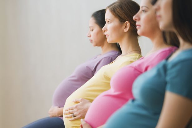 имбирь при беременности на ранних сроках