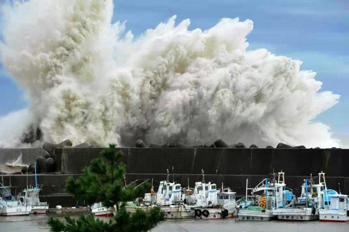 фото самой большой волны в мире цунами
