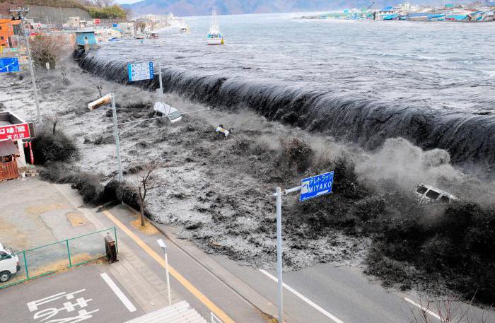 самое большое цунами в мире фото