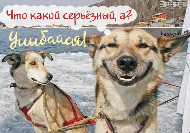 Улыбнись картинки