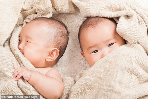 Having twins with different fathers is an extremely rare occurrence known as heteropaternal superfecundation. Previous studies suggested the chance of it happening could be between one in 400 pairs and one in 13,000 pairs (file photo)
