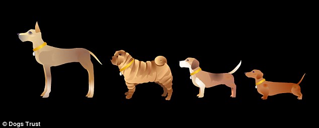 The emoji range from diminutive dogs such as the Dachshund (pictured far right) and the Pug, to large German Shepherds and Great Danes (left), as well as exotic breeds such as the Shar-Pei (second from left)