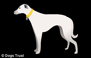 Dogs Trust used its own data, combined with pet population figures to select the breeds included in the keyboard
