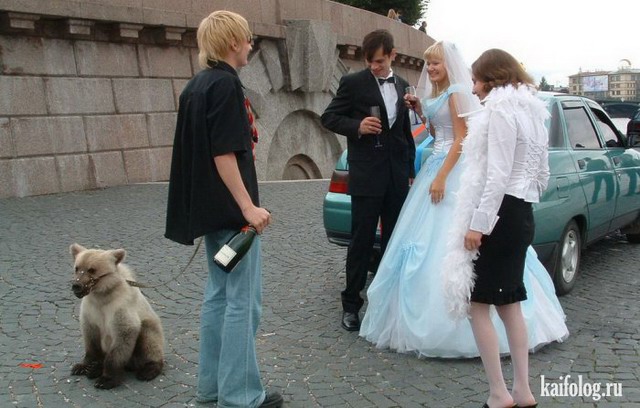 Смешные и идиотские свадебные фото (55 фото)
