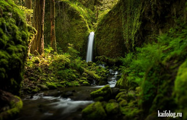 Самые красивые водопады (55 фото)