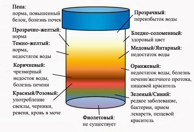 Разнообразные цвета выделений