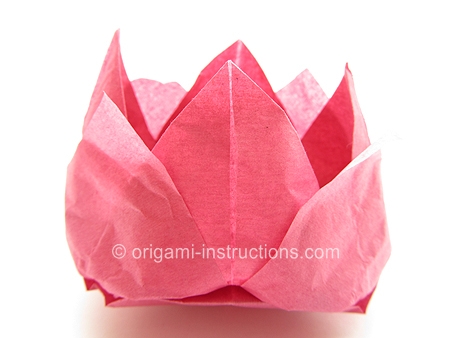 origami-tissue-lotus-step-5