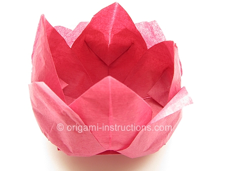 origami-tissue-lotus-step-5