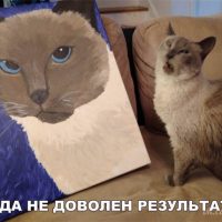 Смешные картинки про кошек до слез - смотреть бесплатно 11