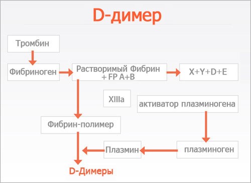 Д-димер при ЭКО