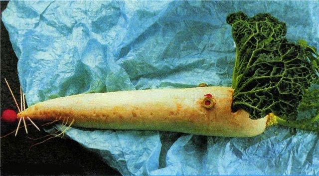 Поделки из овощей своими руками - крыса Лариса из редьки, фото