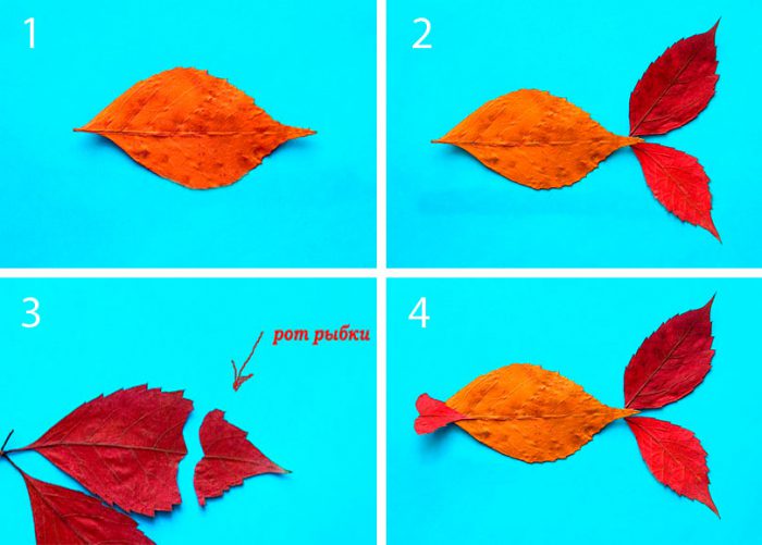 Аппликация «Рыбка» из осенних листьев мастер-класс