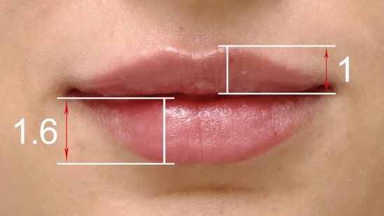 Идеальное соотношение губ в архитектонике лица