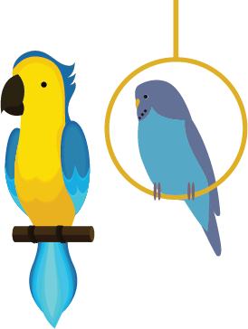 picture of a parrot and a bird