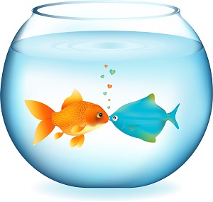 Illustration of a fishbowl containing two fish