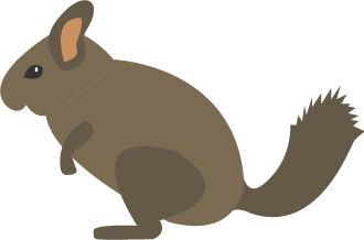 Illustration of a gerbil