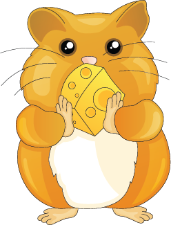 Illustration of a hamster