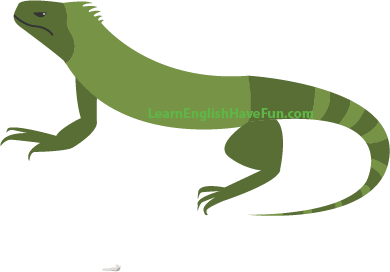 Illustration of a lizard
