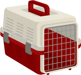 Image of an empty plastic pet carrier with a wire door