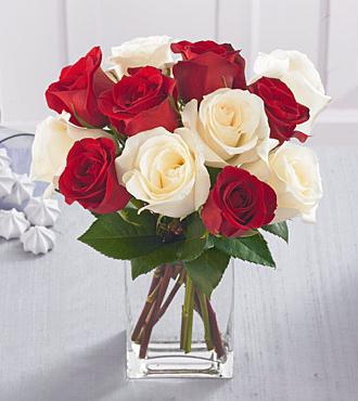 что означают белые розы на языке цветов